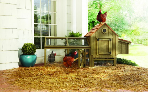 10 Arhaus Chicken Coop.jpg
